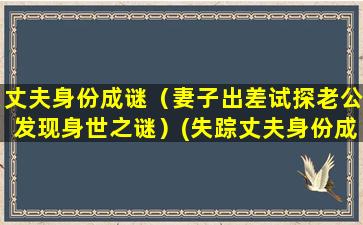 丈夫身份成谜（妻子出差试探老公发现身世之谜）(失踪丈夫身份成谜)