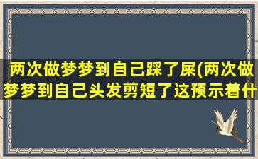 两次做梦梦到自己踩了屎(两次做梦梦到自己头发剪短了这预示着什么)