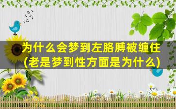 为什么会梦到左胳膊被缠住(老是梦到性方面是为什么)