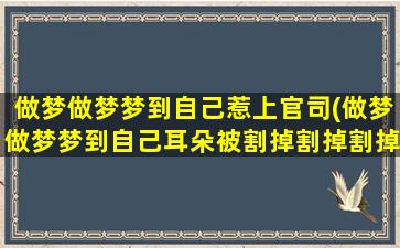 做梦做梦梦到自己惹上官司(做梦做梦梦到自己耳朵被割掉割掉割掉)