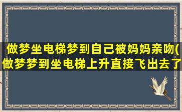 做梦坐电梯梦到自己被妈妈亲吻(做梦梦到坐电梯上升直接飞出去了)