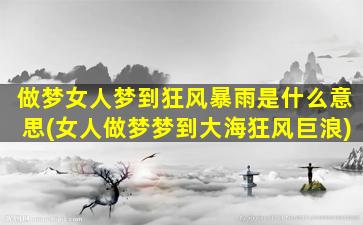 做梦女人梦到狂风暴雨是什么意思(女人做梦梦到大海狂风巨浪)