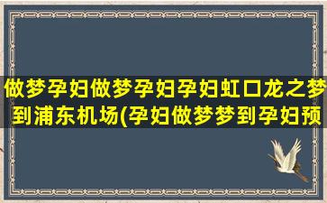 做梦孕妇做梦孕妇孕妇虹口龙之梦到浦东机场(孕妇做梦梦到孕妇预示着什么)