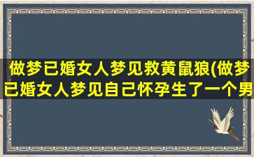 做梦已婚女人梦见救黄鼠狼(做梦已婚女人梦见自己怀孕生了一个男孩)