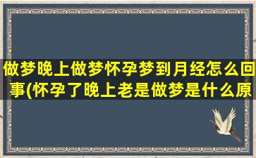 做梦晚上做梦怀孕梦到月经怎么回事(怀孕了晚上老是做梦是什么原因)