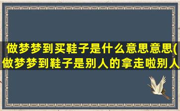 做梦梦到买鞋子是什么意思意思(做梦梦到鞋子是别人的拿走啦别人有吧我鞋子送回来了)