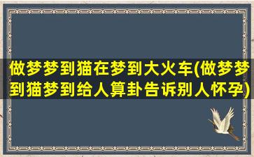 做梦梦到猫在梦到大火车(做梦梦到猫梦到给人算卦告诉别人怀孕)