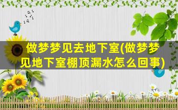 做梦梦见去地下室(做梦梦见地下室棚顶漏水怎么回事)