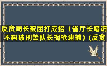 反贪局长被屈打成招（省厅长暗访不料被刑警队长掏枪逮捕）(反贪局长被屈打成保护伞)