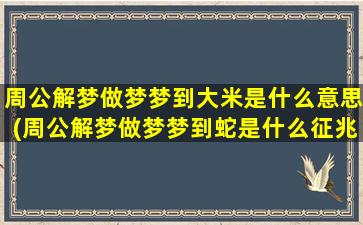 周公解梦做梦梦到大米是什么意思(周公解梦做梦梦到蛇是什么征兆)