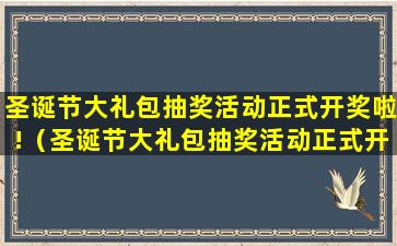 圣诞节大礼包抽奖活动正式开奖啦!（圣诞节大礼包抽奖活动正式开奖啦是真的吗）(圣诞节大礼包图片)