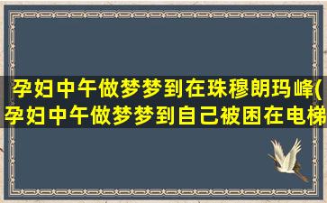 孕妇中午做梦梦到在珠穆朗玛峰(孕妇中午做梦梦到自己被困在电梯里面)