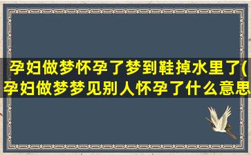 孕妇做梦怀孕了梦到鞋掉水里了(孕妇做梦梦见别人怀孕了什么意思)