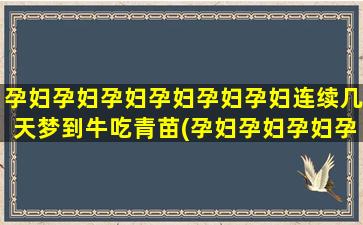 孕妇孕妇孕妇孕妇孕妇孕妇连续几天梦到牛吃青苗(孕妇孕妇孕妇孕妇应应术一下)