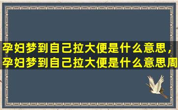 孕妇梦到自己拉大便是什么意思，孕妇梦到自己拉大便是什么意思周公解梦