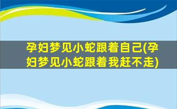 孕妇梦见小蛇跟着自己(孕妇梦见小蛇跟着我赶不走)