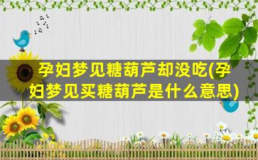 孕妇梦见糖葫芦却没吃(孕妇梦见买糖葫芦是什么意思)