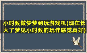 小时候做梦梦到玩游戏机(现在长大了梦见小时候的玩伴感觉真好)