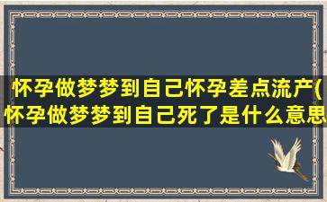 怀孕做梦梦到自己怀孕差点流产(怀孕做梦梦到自己死了是什么意思)