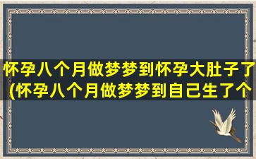 怀孕八个月做梦梦到怀孕大肚子了(怀孕八个月做梦梦到自己生了个男孩)