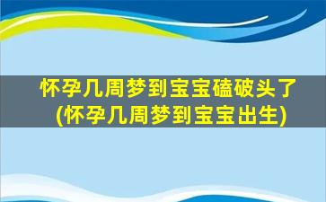 怀孕几周梦到宝宝磕破头了(怀孕几周梦到宝宝出生)