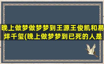 晚上做梦做梦梦到王源王俊凯和易烊千玺(晚上做梦梦到已死的人是什么征兆)