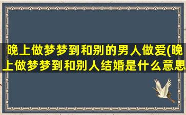 晚上做梦梦到和别的男人做爱(晚上做梦梦到和别人结婚是什么意思)