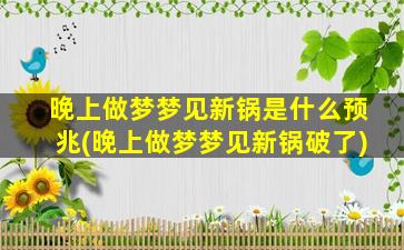 晚上做梦梦见新锅是什么预兆(晚上做梦梦见新锅破了)