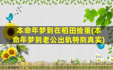 本命年梦到在稻田捡蛋(本命年梦到老公出轨特别真实)