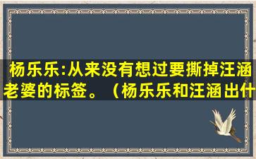 杨乐乐:从来没有想过要撕掉汪涵老婆的标签。（杨乐乐和汪涵出什么问题了）