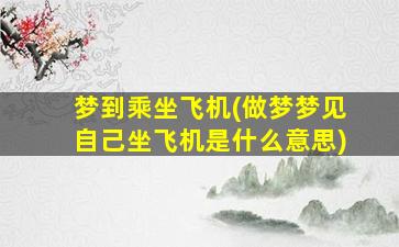 梦到乘坐飞机(做梦梦见自己坐飞机是什么意思)