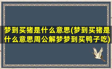 梦到买猪是什么意思(梦到买猪是什么意思周公解梦梦到买鸭子吃)