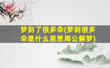 梦到了很多伞(梦到很多伞是什么意思周公解梦)