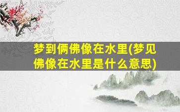 梦到俩佛像在水里(梦见佛像在水里是什么意思)