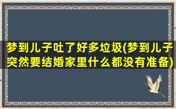 梦到儿子吐了好多垃圾(梦到儿子突然要结婚家里什么都没有准备)