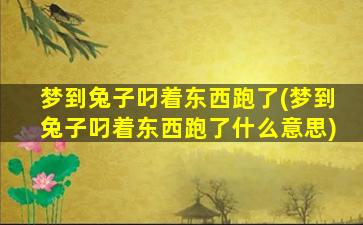 梦到兔子叼着东西跑了(梦到兔子叼着东西跑了什么意思)