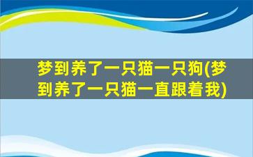 梦到养了一只猫一只狗(梦到养了一只猫一直跟着我)