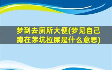 梦到去厕所大便(梦见自己蹲在茅坑拉屎是什么意思)