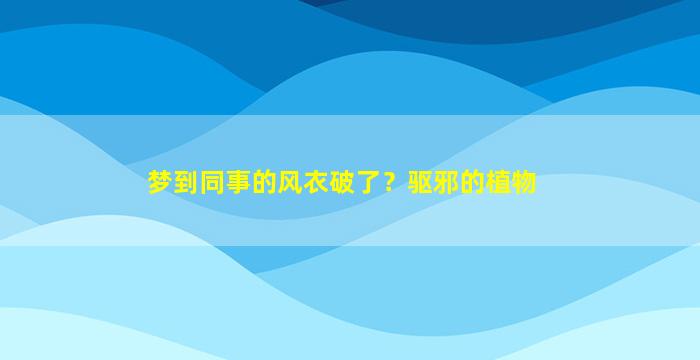 梦到同事的风衣破了？驱邪的植物