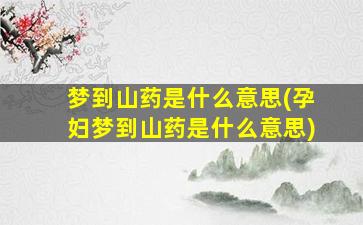 梦到山药是什么意思(孕妇梦到山药是什么意思)