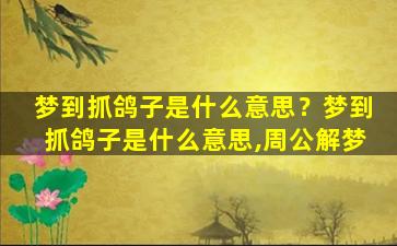 梦到抓鸽子是什么意思？梦到抓鸽子是什么意思,周公解梦