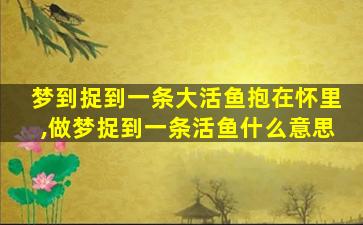 梦到捉到一条大活鱼抱在怀里,做梦捉到一条活鱼什么意思