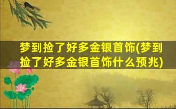 梦到捡了好多金银首饰(梦到捡了好多金银首饰什么预兆)