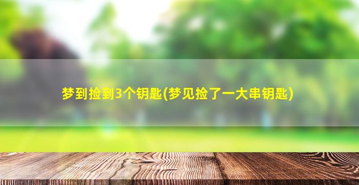 梦到捡到3个钥匙(梦见捡了一大串钥匙)