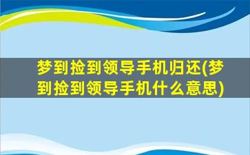 梦到捡到领导手机归还(梦到捡到领导手机什么意思)