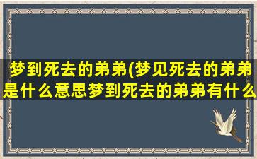 梦到死去的弟弟(梦见死去的弟弟是什么意思梦到死去的弟弟有什么预兆)