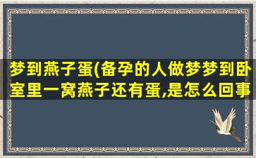 梦到燕子蛋(备孕的人做梦梦到卧室里一窝燕子还有蛋,是怎么回事)