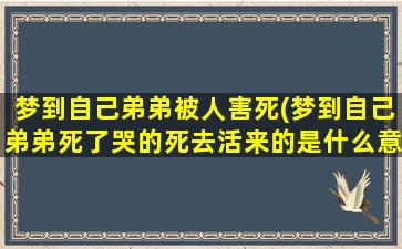 梦到自己弟弟被人害死(梦到自己弟弟死了哭的死去活来的是什么意思)