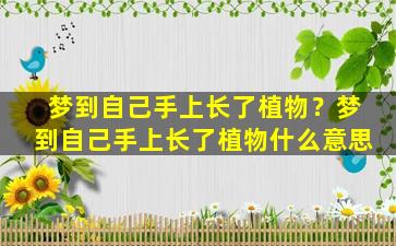 梦到自己手上长了植物？梦到自己手上长了植物什么意思