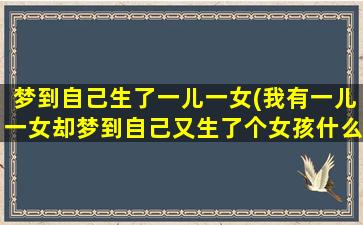 梦到自己生了一儿一女(我有一儿一女却梦到自己又生了个女孩什么意思)